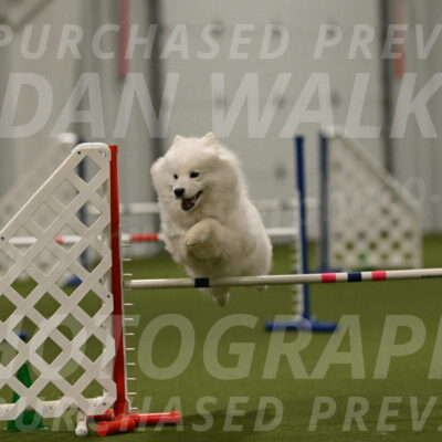 Expo-Pam-Lewis-04060