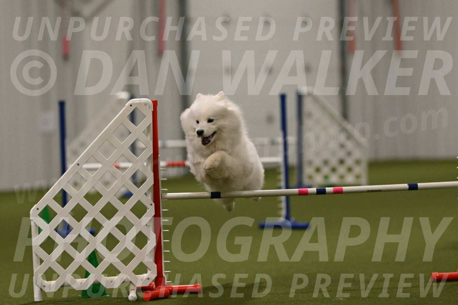 Expo-Pam-Lewis-04060