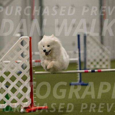 Expo-Pam-Lewis-04061