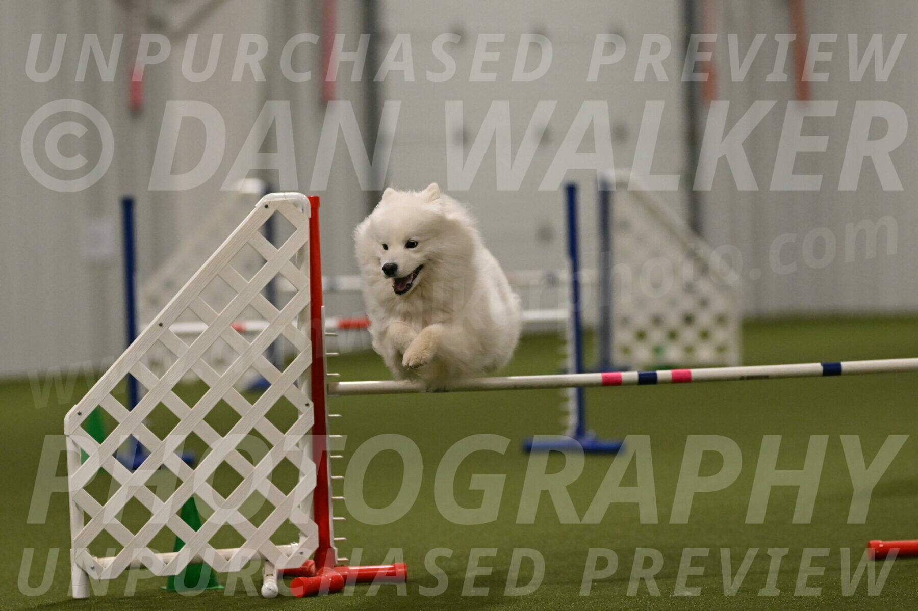 Expo-Pam-Lewis-04061