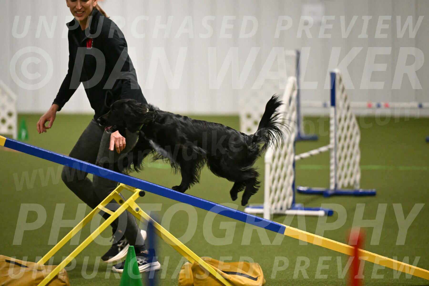 Falcon-Jessica-Murray-06208