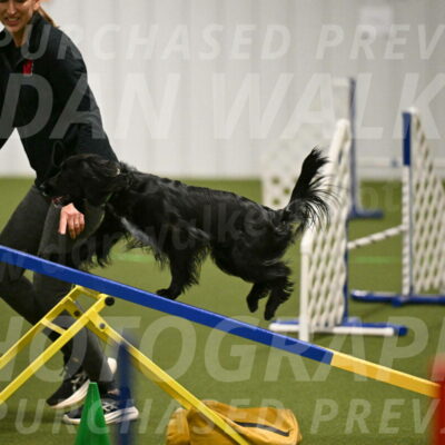 Falcon-Jessica-Murray-06208