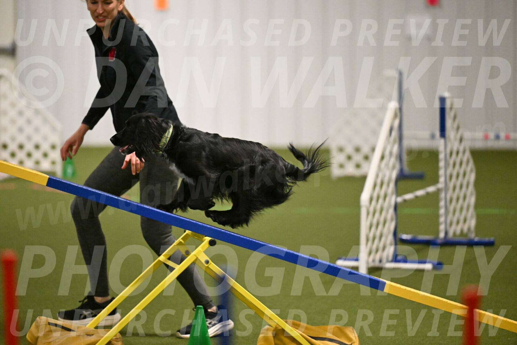 Falcon-Jessica-Murray-06209