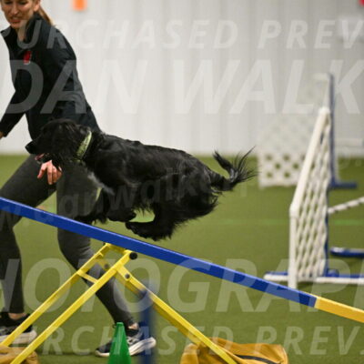 Falcon-Jessica-Murray-06209