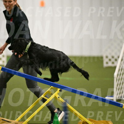 Falcon-Jessica-Murray-06210