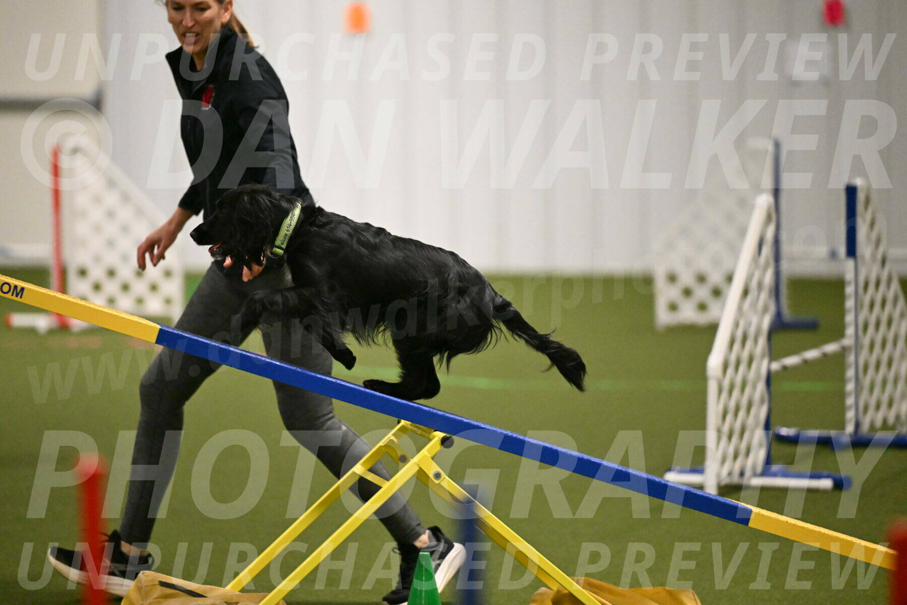 Falcon-Jessica-Murray-06210