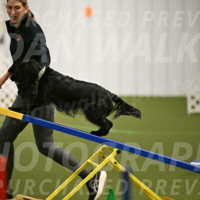 Falcon-Jessica-Murray-06211