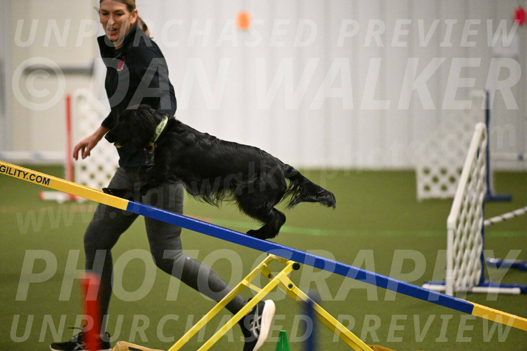 Falcon-Jessica-Murray-06211