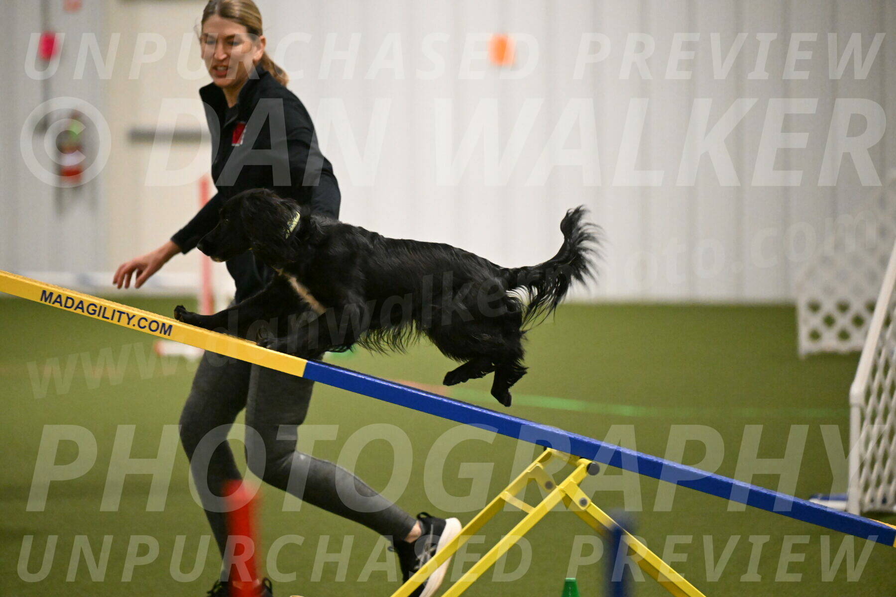 Falcon-Jessica-Murray-06212