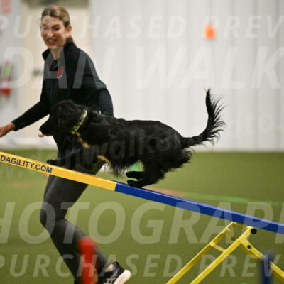 Falcon-Jessica-Murray-06213