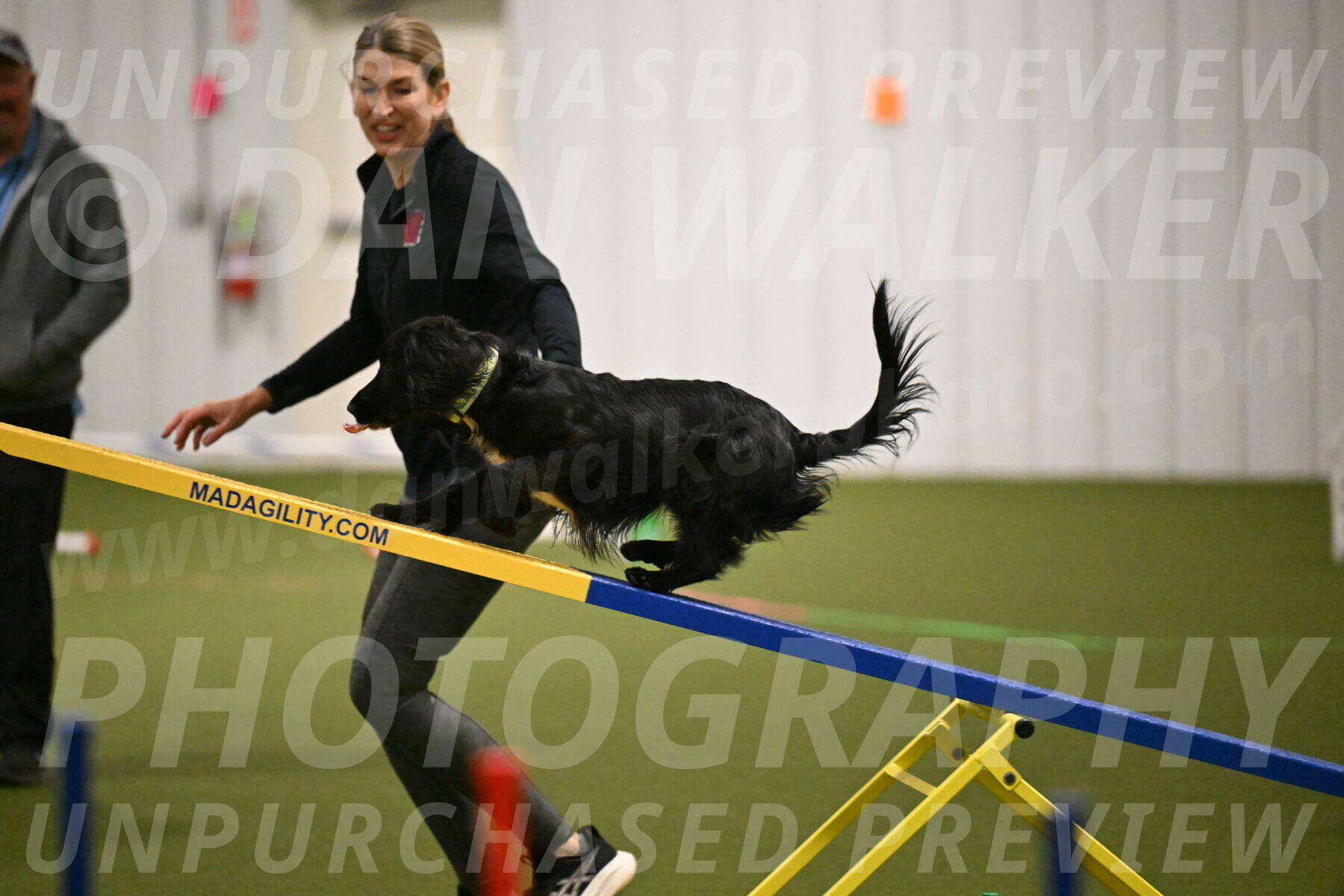 Falcon-Jessica-Murray-06213