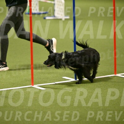 Falcon-Jessica-Murray-06242