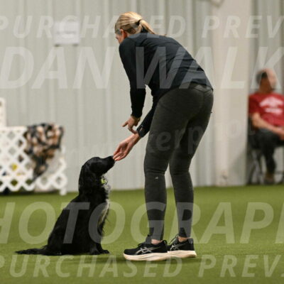 Falcon-Jessica-Murray-06247