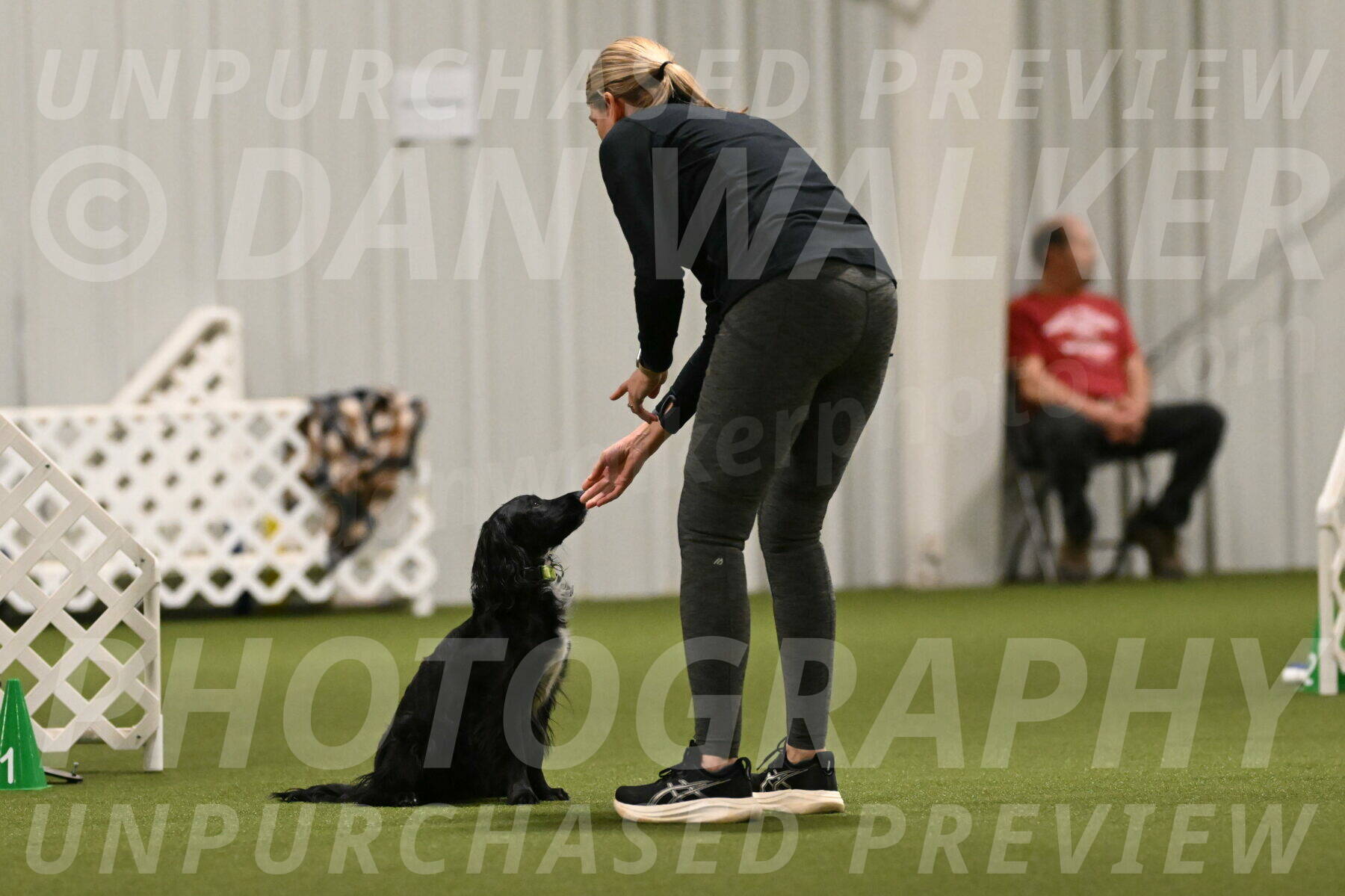 Falcon-Jessica-Murray-06247