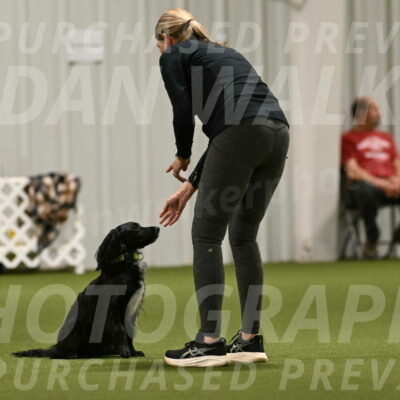 Falcon-Jessica-Murray-06248