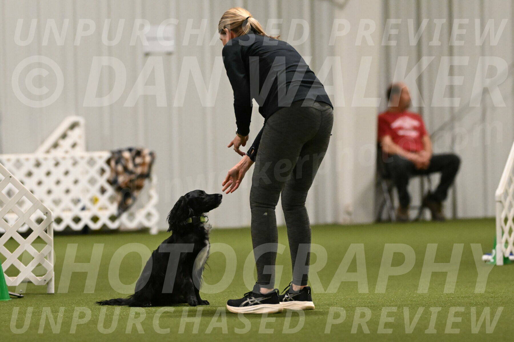 Falcon-Jessica-Murray-06248