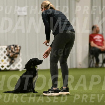 Falcon-Jessica-Murray-06249