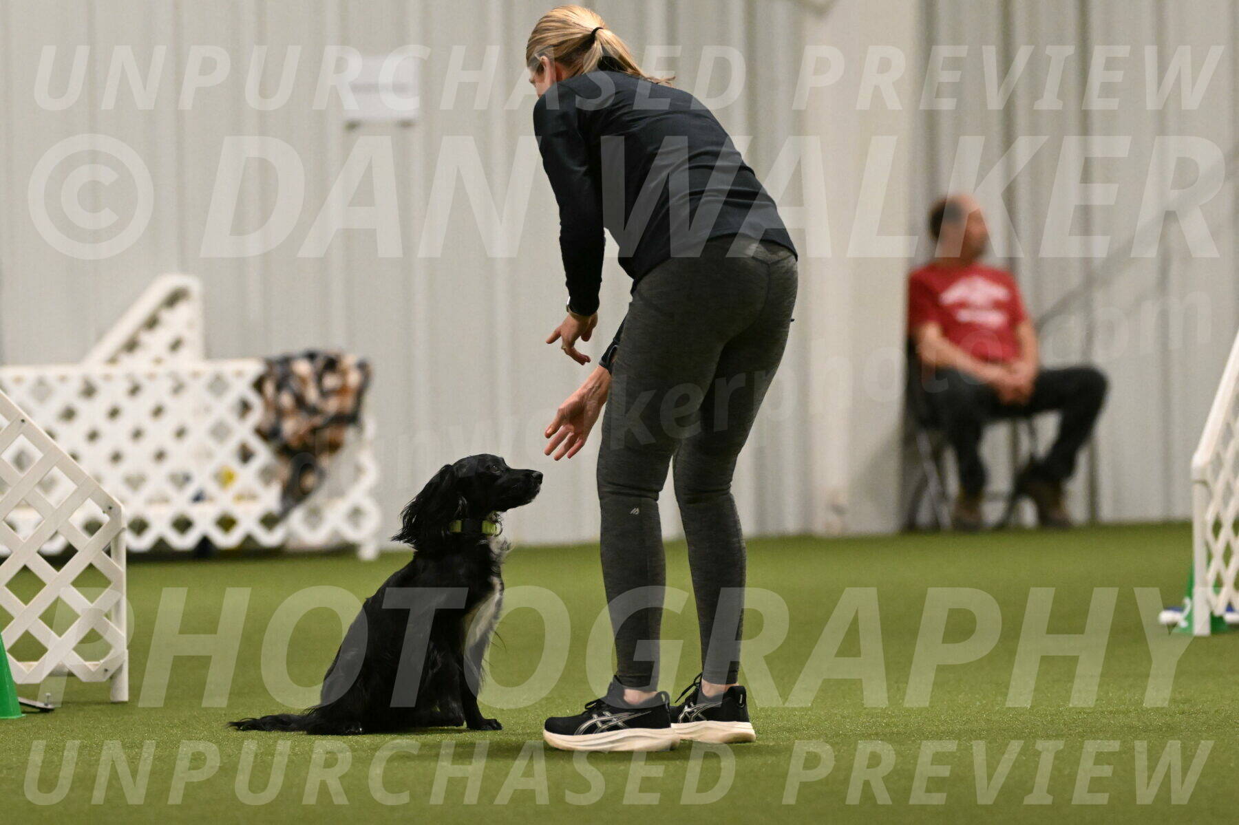 Falcon-Jessica-Murray-06249