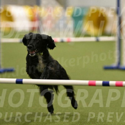 Falcon-Jessica-Murray-06261