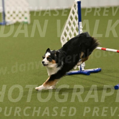 Falcon-Jessica-Murray-06286