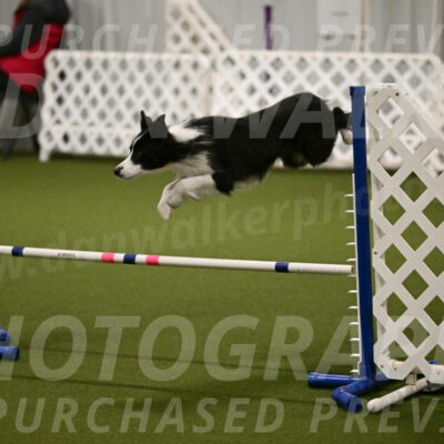 Fame-Tera-Majors-01070