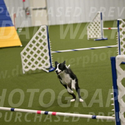 Fame-Tera-Majors-01143