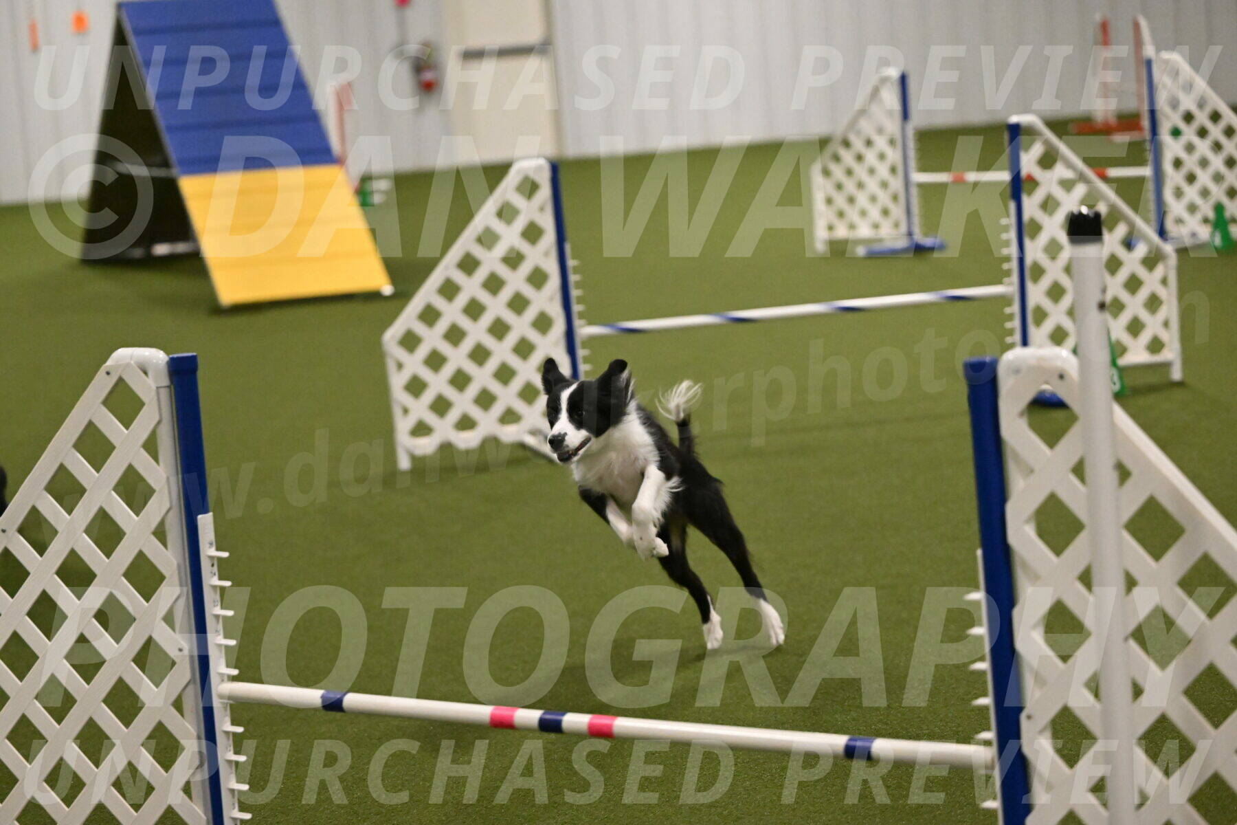 Fame-Tera-Majors-01144