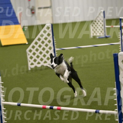 Fame-Tera-Majors-01144