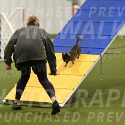 Felina-Samantha-Yanchik-07647