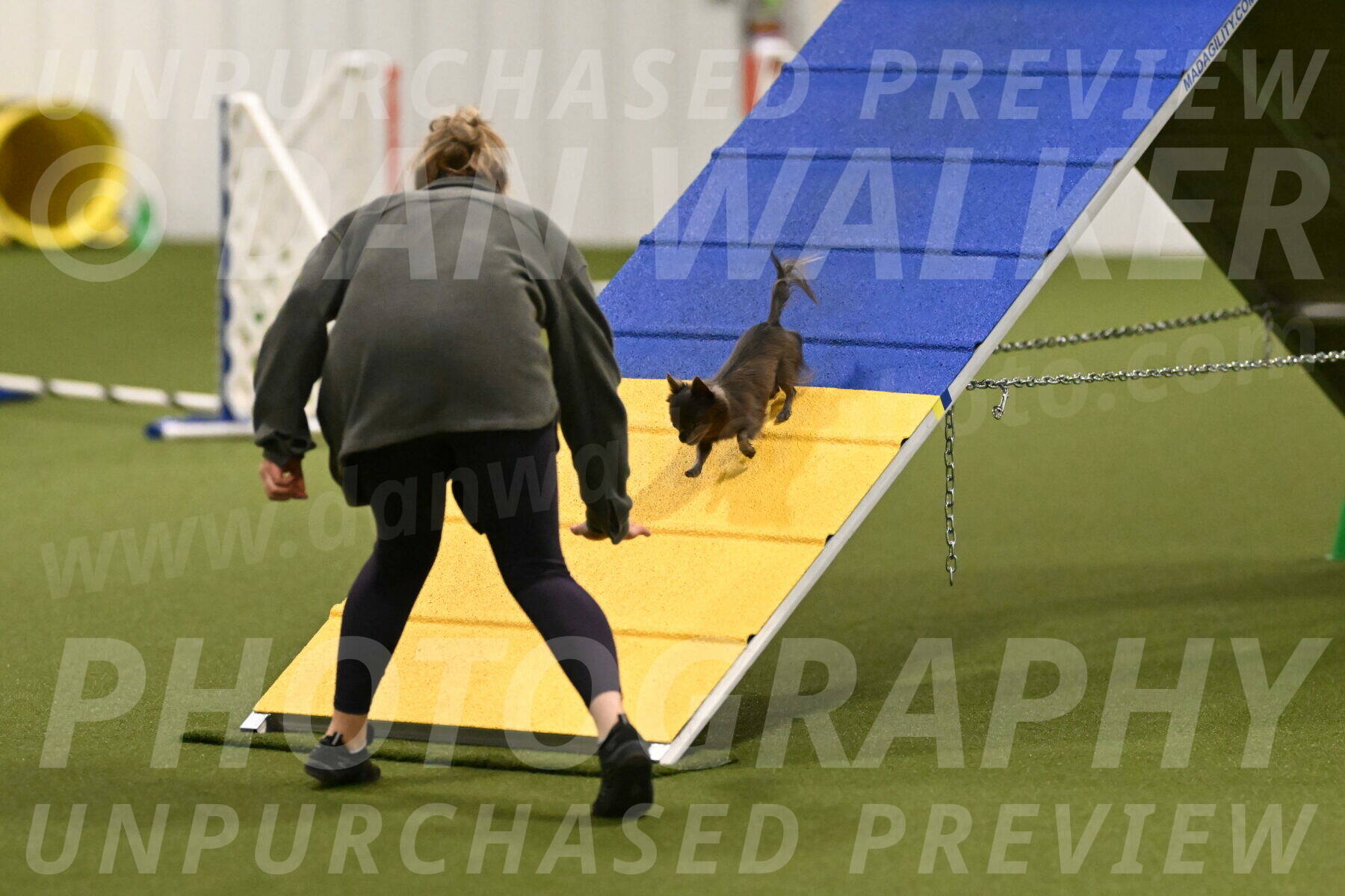 Felina-Samantha-Yanchik-07647