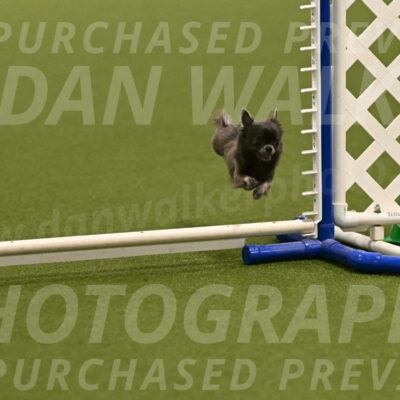 Felina-Samantha-Yanchik-07648