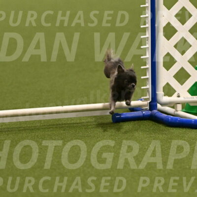 Felina-Samantha-Yanchik-07649