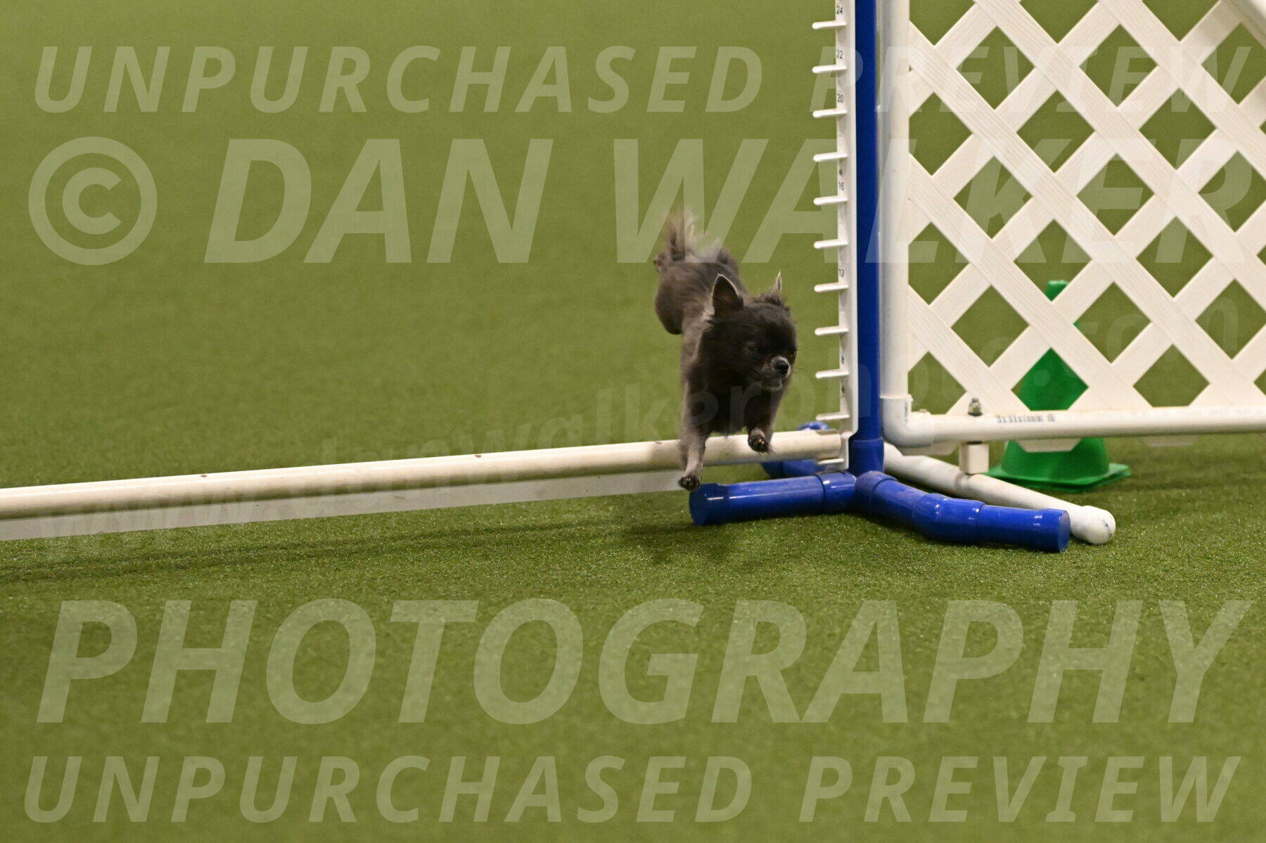 Felina-Samantha-Yanchik-07649