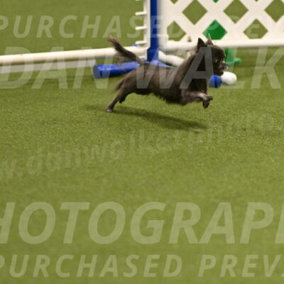 Felina-Samantha-Yanchik-07650