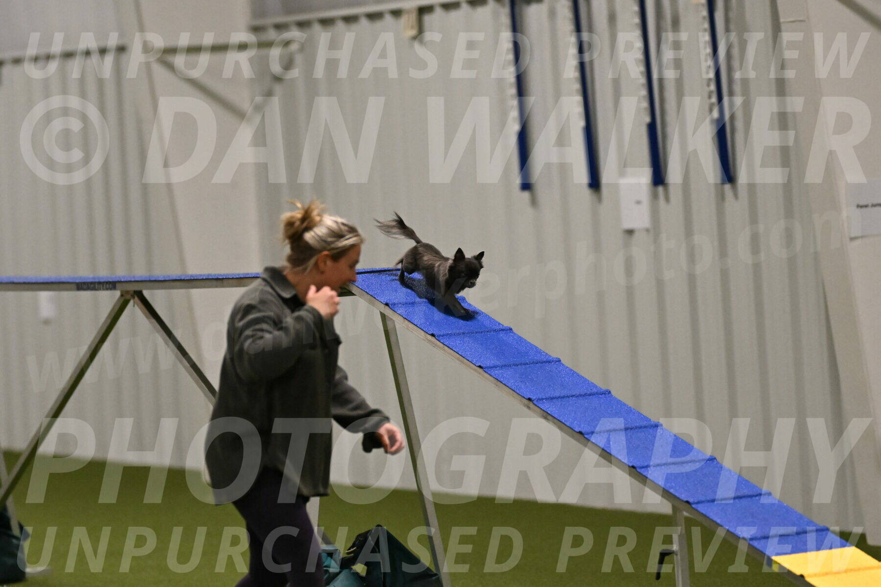 Felina-Samantha-Yanchik-07651