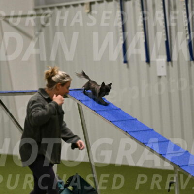 Felina-Samantha-Yanchik-07651