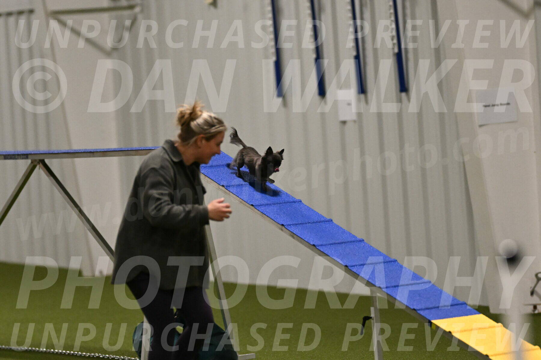 Felina-Samantha-Yanchik-07652