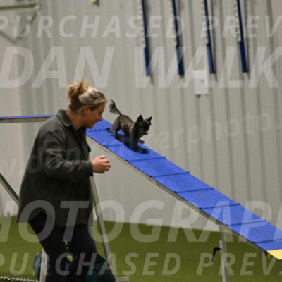 Felina-Samantha-Yanchik-07652