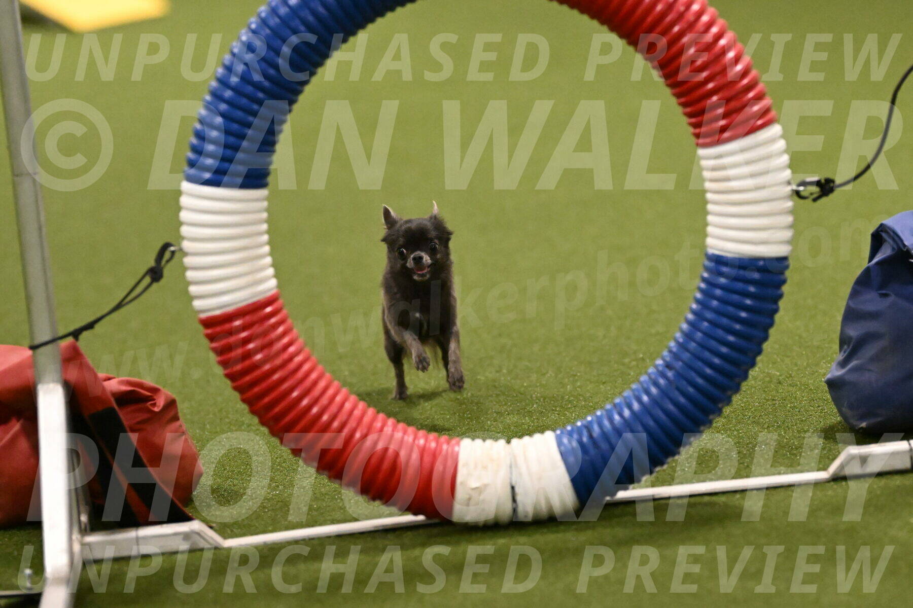 Felina-Samantha-Yanchik-07653