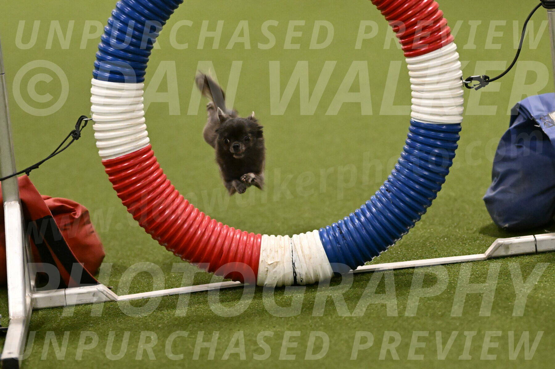 Felina-Samantha-Yanchik-07655