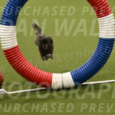 Felina-Samantha-Yanchik-07655