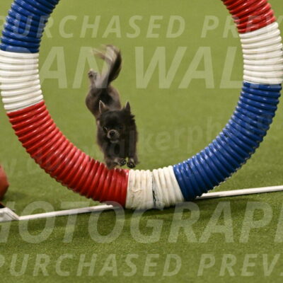 Felina-Samantha-Yanchik-07656