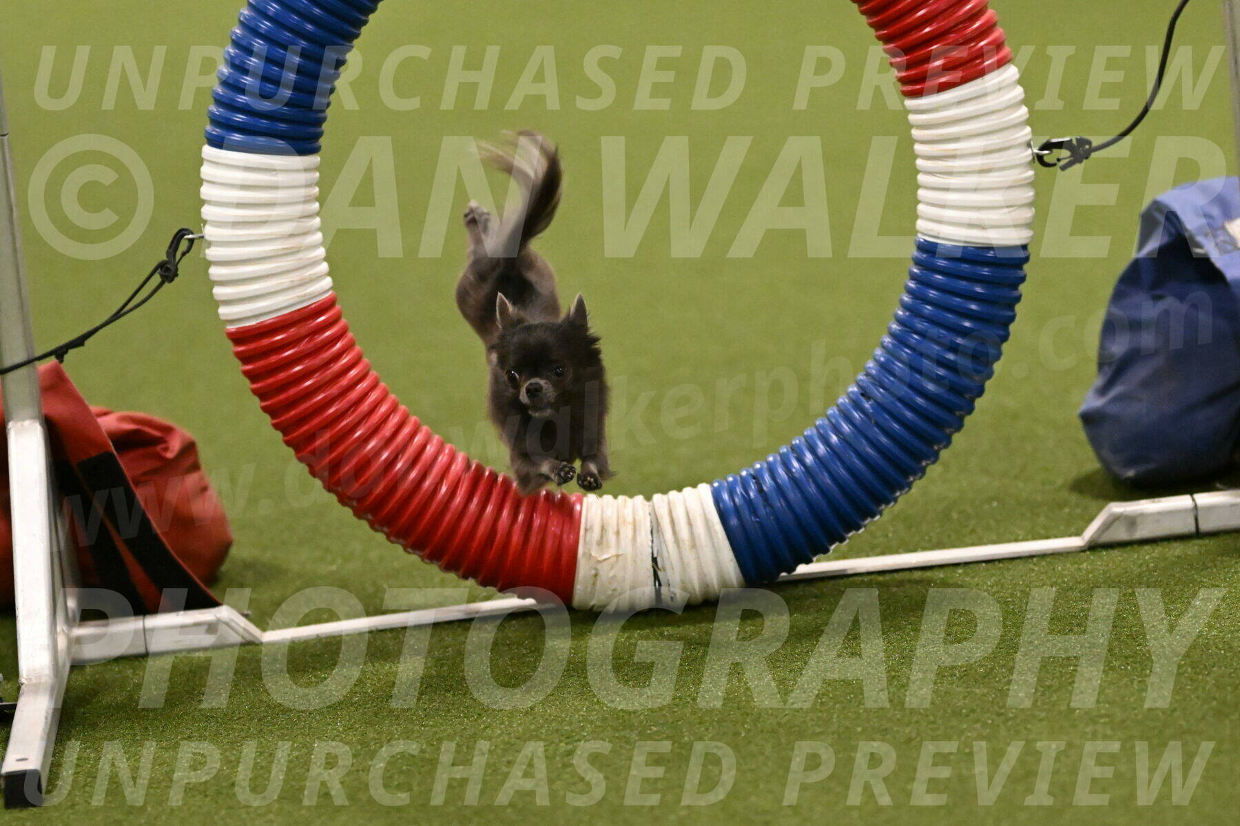 Felina-Samantha-Yanchik-07656