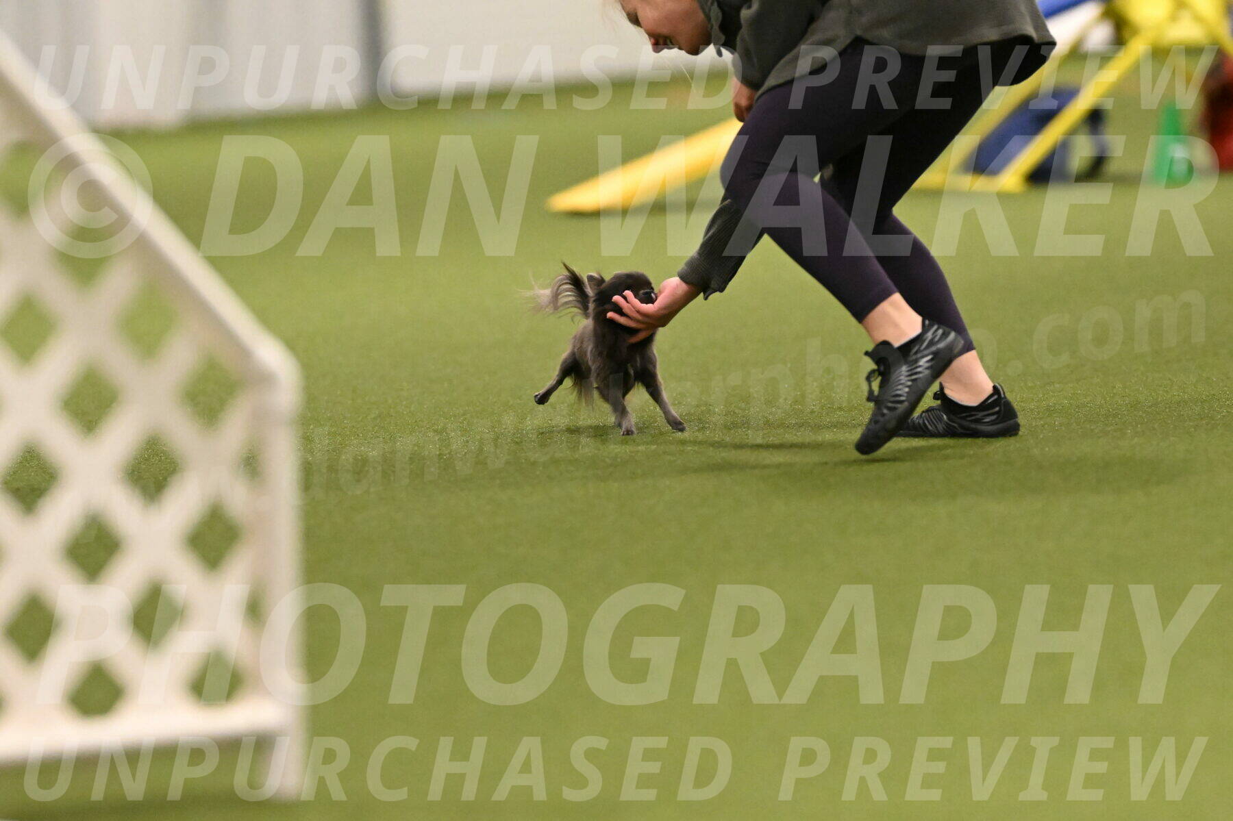 Felina-Samantha-Yanchik-07657