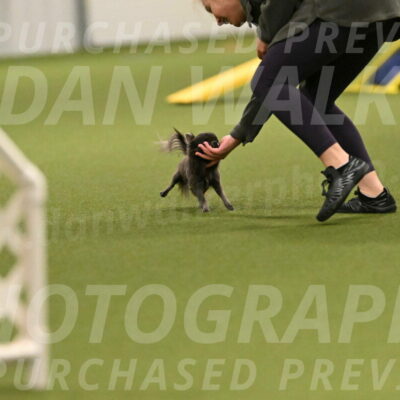 Felina-Samantha-Yanchik-07657