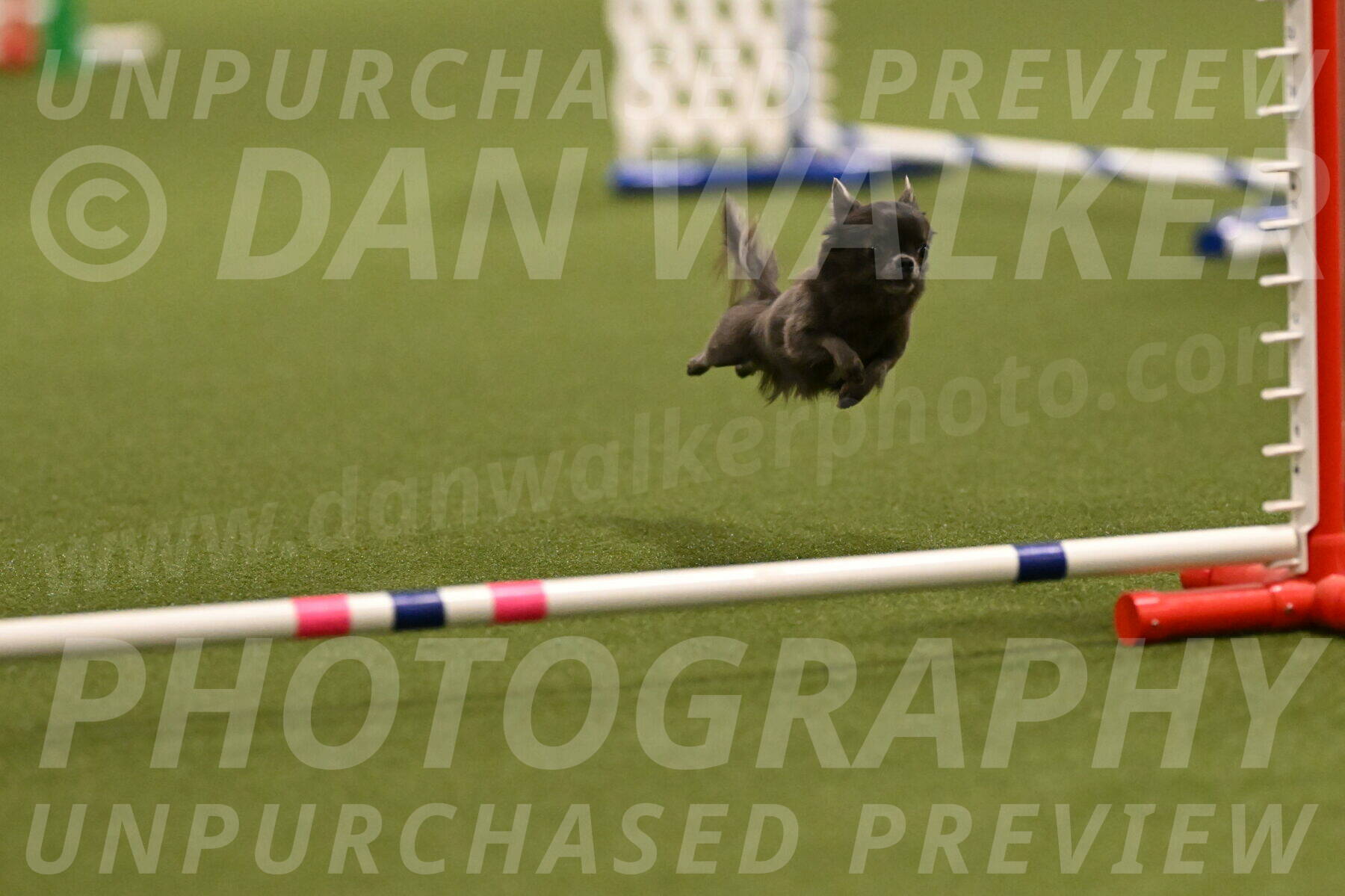 Felina-Samantha-Yanchik-07658