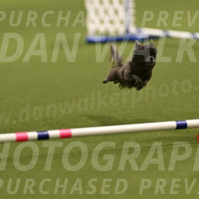 Felina-Samantha-Yanchik-07658