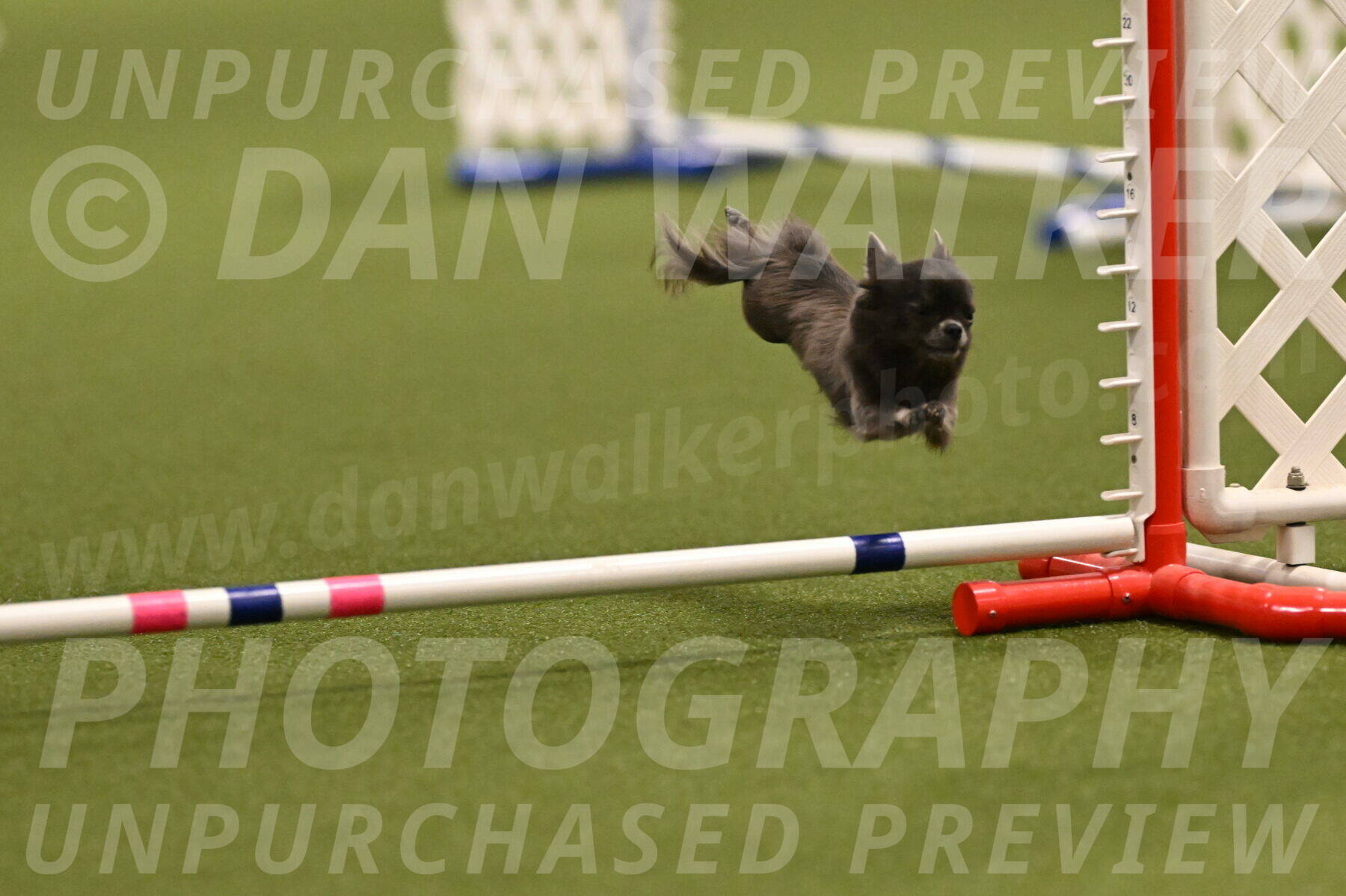 Felina-Samantha-Yanchik-07659