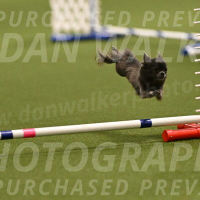 Felina-Samantha-Yanchik-07659