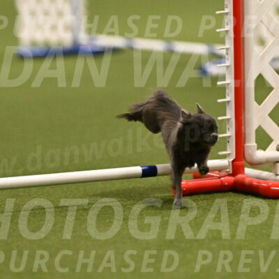 Felina-Samantha-Yanchik-07660